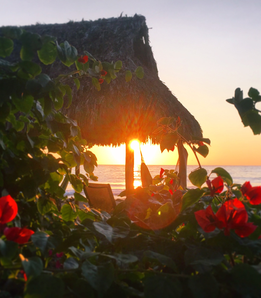 palapa_bugamvilia_chacala_beach
